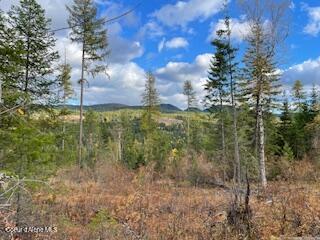 PARCEL2 Crosswhite Rd, Careywood, ID 83809 - photo 4