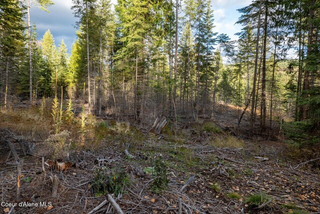PARCEL2 Crosswhite Rd, Careywood, ID 83809 - photo 9