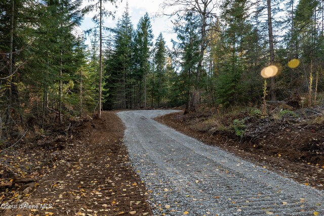 PARCEL2 Crosswhite Rd, Careywood, ID 83809 - photo 12