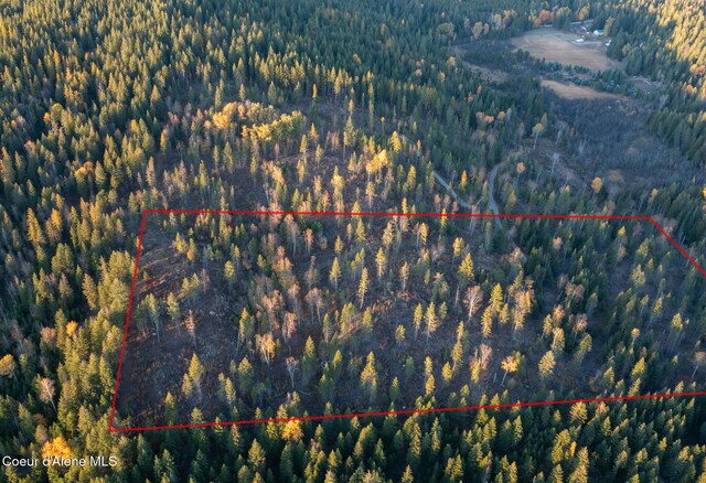 PARCEL2 Crosswhite Rd, Careywood, ID 83809 - photo 14