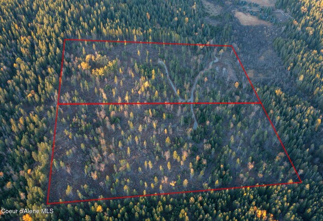 PARCEL2 Crosswhite Rd, Careywood, ID 83809 - photo 15
