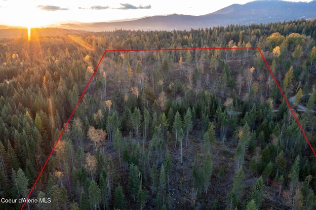 PARCEL2 Crosswhite Rd, Careywood, ID 83809 - photo 17