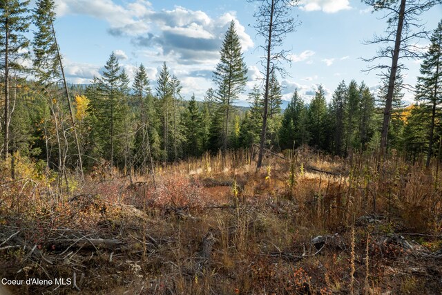 PARCEL2 Crosswhite Rd, Careywood, ID 83809 - photo 19