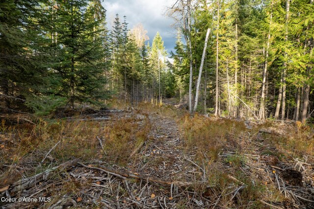 PARCEL2 Crosswhite Rd, Careywood, ID 83809 - photo 21