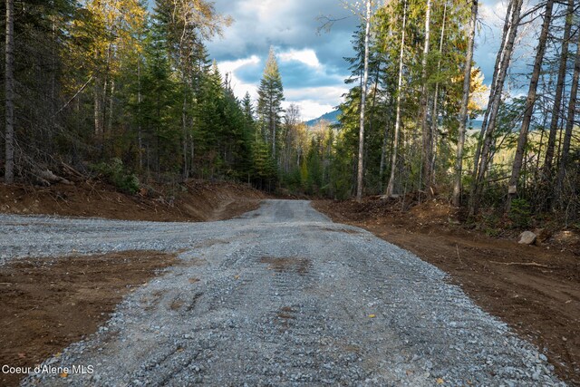 PARCEL2 Crosswhite Rd, Careywood, ID 83809 - photo 22