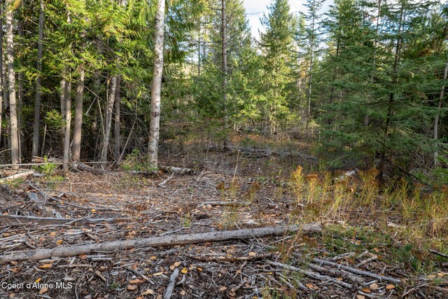 PARCEL2 Crosswhite Rd, Careywood, ID 83809 - photo 23