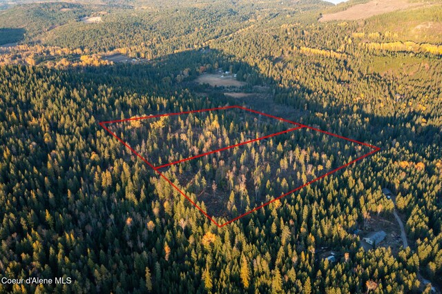 PARCEL2 Crosswhite Rd, Careywood, ID 83809 - photo 24