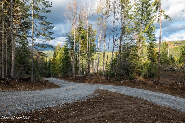 PARCEL2 Crosswhite Rd, Careywood, ID 83809 - photo 26