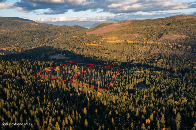 PARCEL2 Crosswhite Rd, Careywood, ID 83809 - photo 31