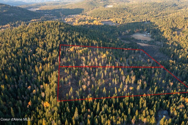 PARCEL2 Crosswhite Rd, Careywood, ID 83809 - photo 32