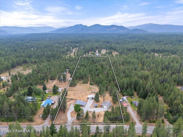 27453 N Ramsey Rd, Athol, ID 83801 - photo 2