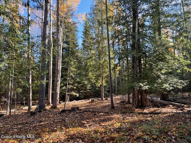 760 Selkirk Rd, Sandpoint, ID 83864 - photo 16