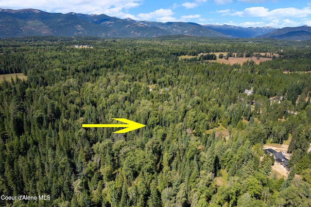 760 Selkirk Rd, Sandpoint, ID 83864 - photo 8