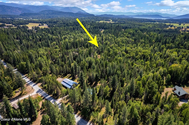 760 Selkirk Rd, Sandpoint, ID 83864 - photo 9