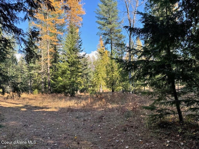 760 Selkirk Rd, Sandpoint, ID 83864 - photo 10
