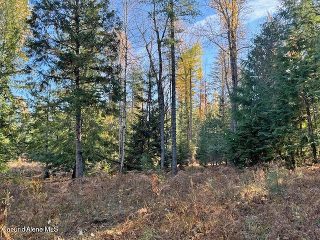 760 Selkirk Rd, Sandpoint, ID 83864 - photo 18