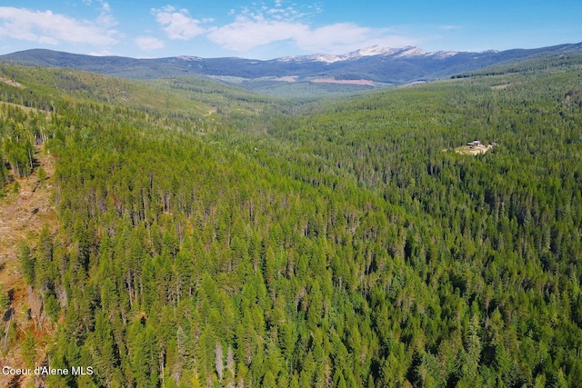 NNA Morris Rd, Naples, ID 83847 - photo 1