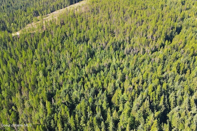 NNA Morris Rd, Naples, ID 83847 - photo 10