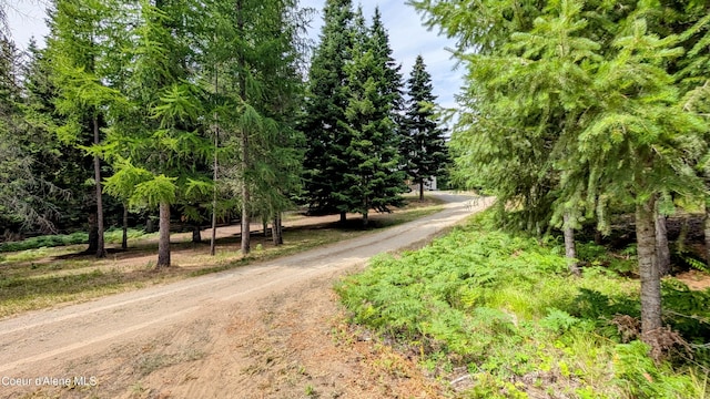 97 Leelah Ln, Bonners Ferry, ID 83805 - photo 27