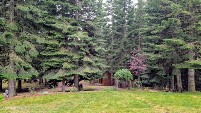 97 Leelah Ln, Bonners Ferry, ID 83805 - photo 60
