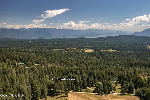 Lot1 Baylen View, Sagle, ID 83860 - photo 15