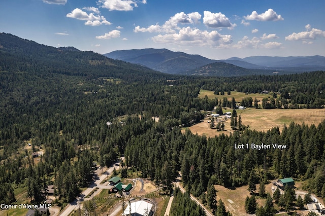 Lot1 Baylen View, Sagle, ID 83860 - photo 13