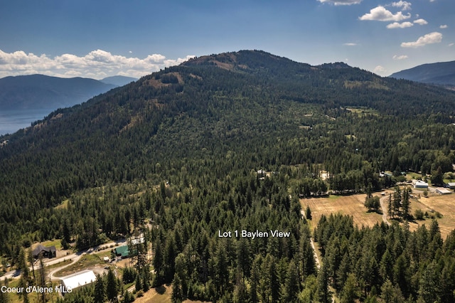 Lot1 Baylen View, Sagle, ID 83860 - photo 12