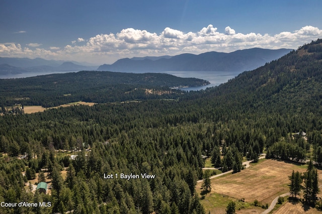 Lot1 Baylen View, Sagle, ID 83860 - photo 2