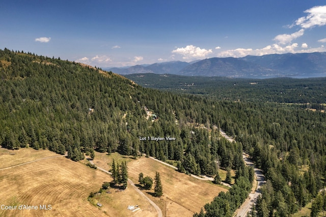 Lot1 Baylen View, Sagle, ID 83860 - photo 14