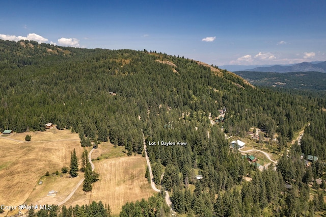 Lot1 Baylen View, Sagle, ID 83860 - photo 16