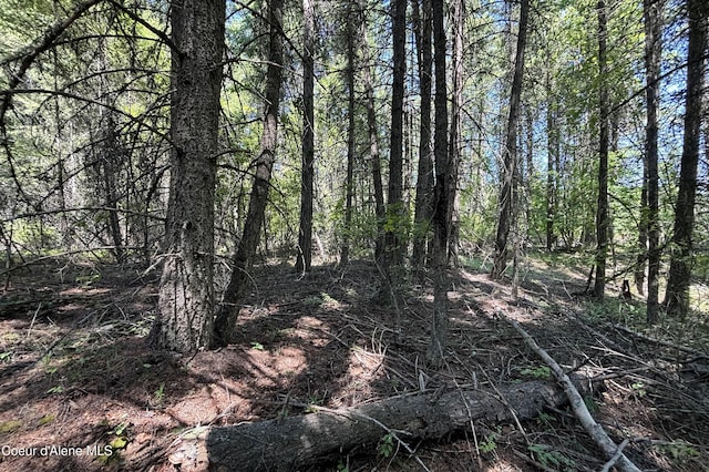 Lot1 Baylen View, Sagle, ID 83860 - photo 5