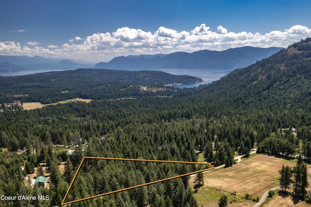 Lot1 Baylen View, Sagle, ID 83860 - photo 17
