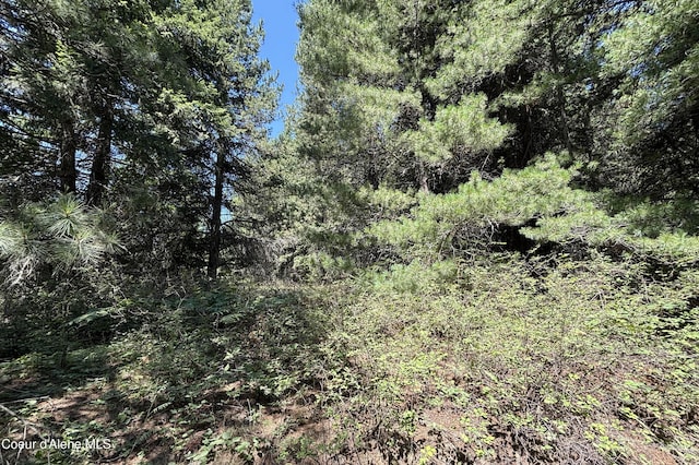 Lot1 Baylen View, Sagle, ID 83860 - photo 7