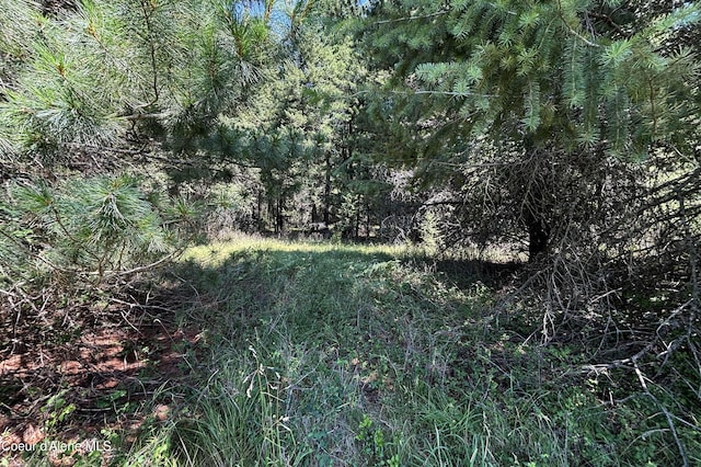 Lot1 Baylen View, Sagle, ID 83860 - photo 8