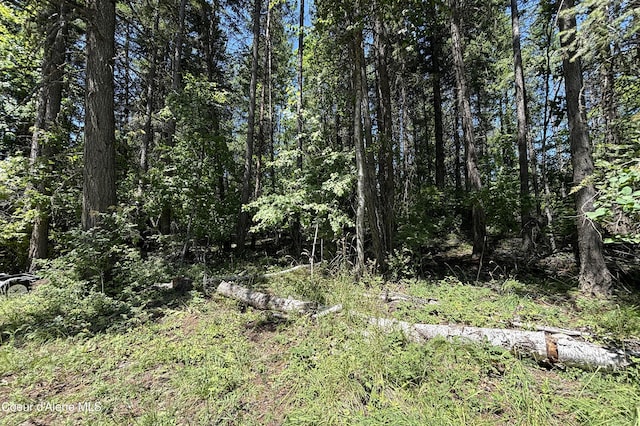 Lot1 Baylen View, Sagle, ID 83860 - photo 9