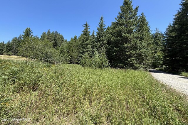Lot1 Baylen View, Sagle, ID 83860 - photo 10