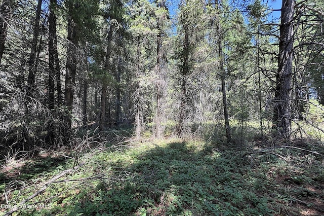 Lot1 Baylen View, Sagle, ID 83860 - photo 6