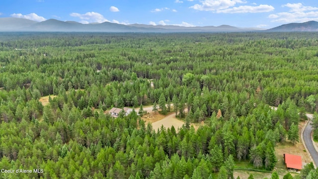 8785 W Coeur D Alene Dr, Spirit Lake, ID 83869 - photo 40