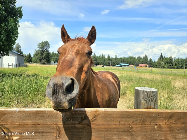 235 Shamrock Rd, Bonners Ferry, ID 83805 - photo 4