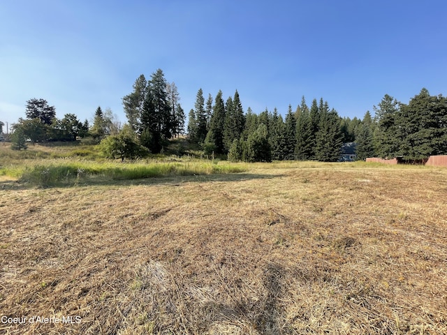 NNA W Beardmore Ave, Priest River, ID 83856 - photo 5