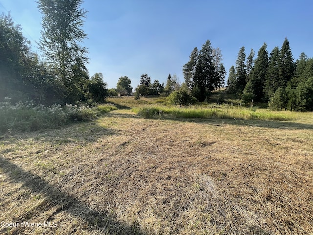 NNA W Beardmore Ave, Priest River, ID 83856 - photo 6