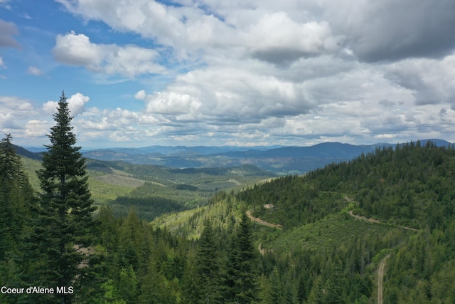 193 Wildflower, Saint Maries, ID 83861 - photo 7