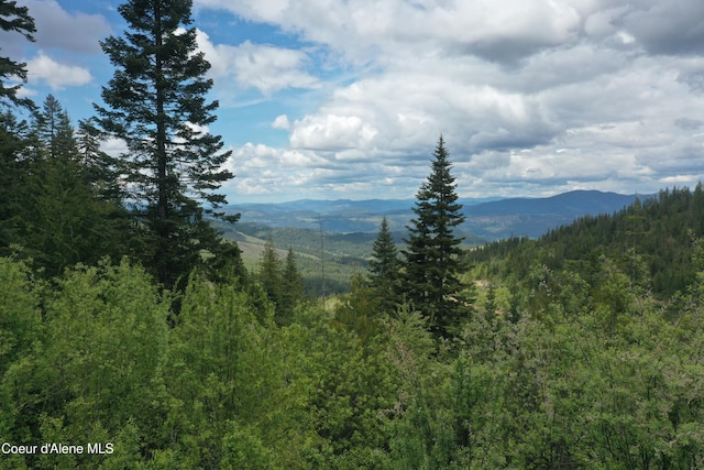 193 Wildflower, Saint Maries, ID 83861 - photo 8
