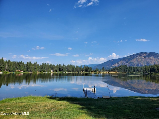 153 Savage Ln W, Troy Mt, MT 59935 - photo 6