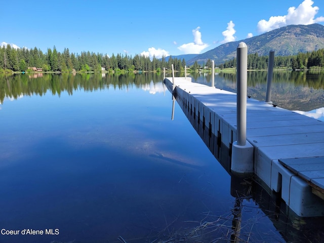 153 Savage Ln W, Troy Mt, MT 59935 - photo 8