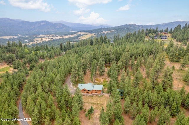 16292 S Rockford Heights Rd, Coeur Dalene, ID 83814 - photo 66