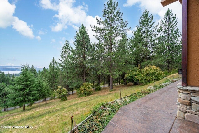 16292 S Rockford Heights Rd, Coeur Dalene, ID 83814 - photo 11