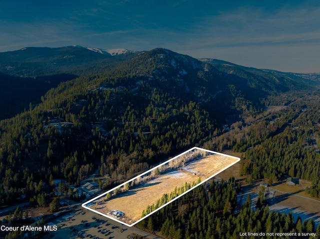 NNA Schweitzer Mtn Rd, Sandpoint, ID 83864 - photo 4