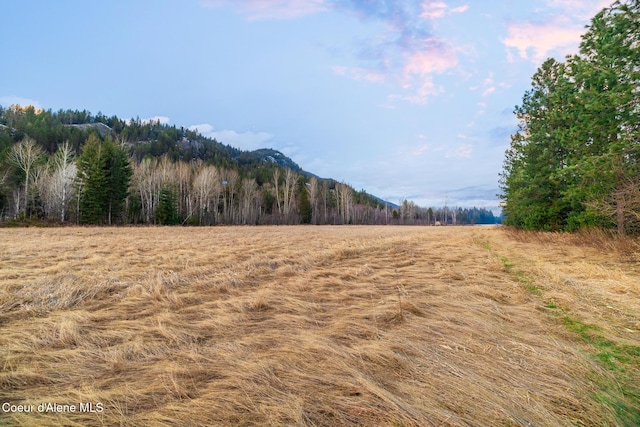 NNA Schweitzer Mtn Rd, Sandpoint, ID 83864 - photo 1