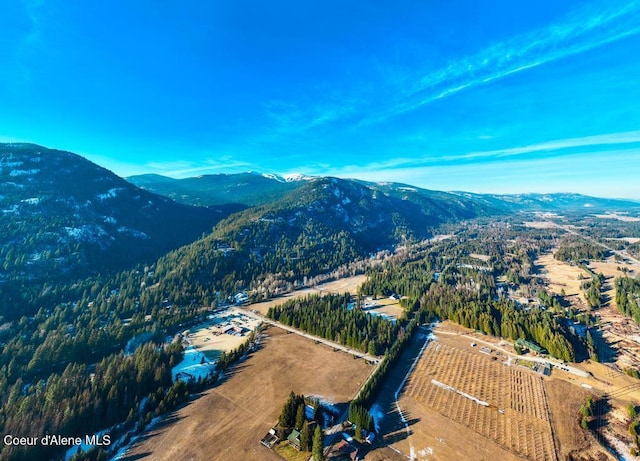 NNA Schweitzer Mtn Rd, Sandpoint, ID 83864 - photo 5